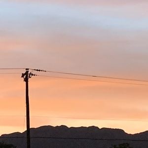 Meet your Posher, Ronald